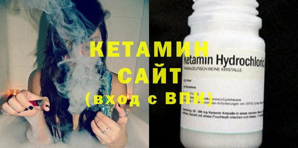 трава Ельня