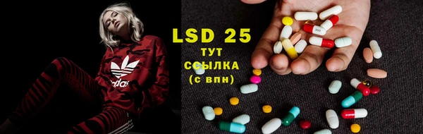 трава Ельня