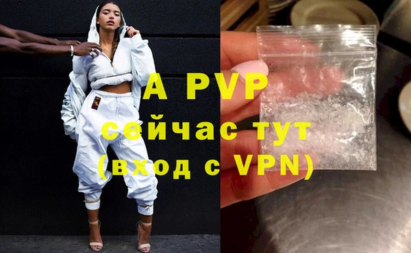трава Ельня